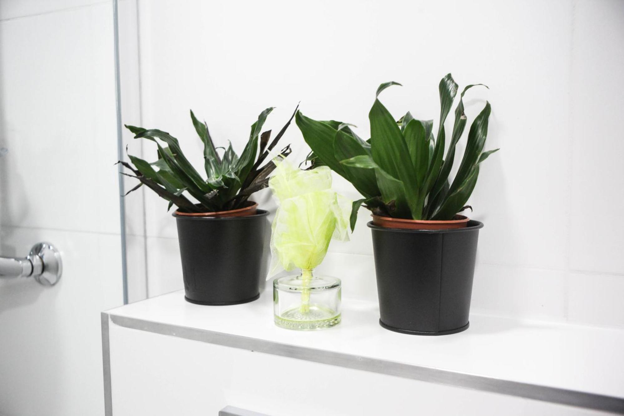 Apartmán 3d Florianska 15